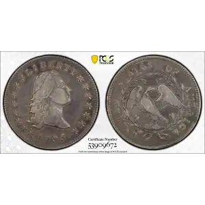 1795 $1 Flowing Hair, 2 Leaves (2)