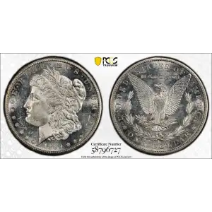 Morgan Silver Dollar