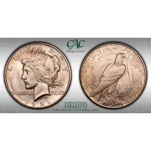 Peace Silver Dollar