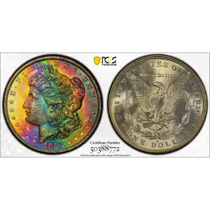 Morgan Silver Dollar