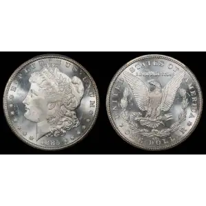 Morgan Silver Dollar
