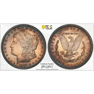 Morgan Silver Dollar