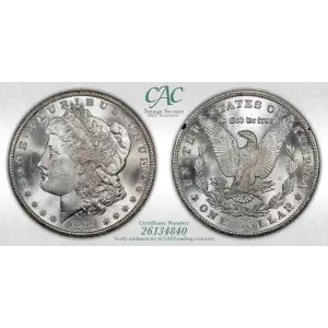 Morgan Silver Dollar