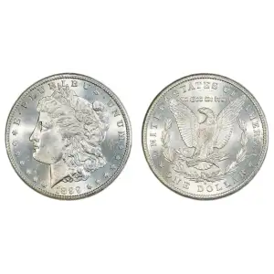 Morgan Silver Dollar (2)