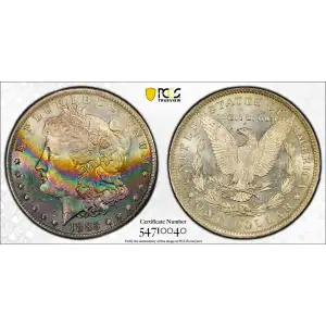 Morgan Silver Dollar