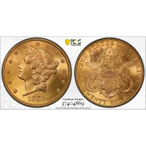 Double Eagles---Liberty Head 1849-1907 -Gold- 20 Dollar (2)