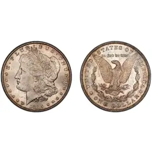 1895-S $1