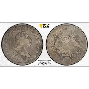 1795 $1 Flowing Hair, Silver Plug (2)