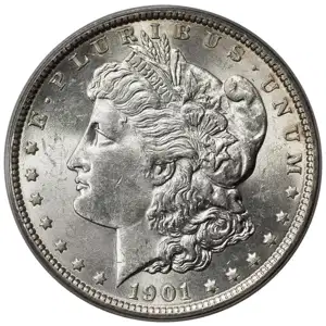 Morgan Silver Dollar (3)
