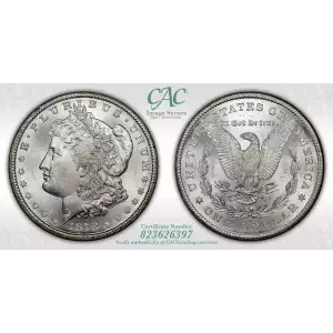Morgan Silver Dollar