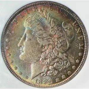 1886 (2)