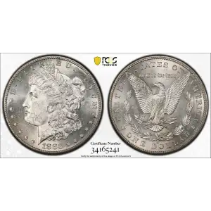 Morgan Silver Dollar (2)