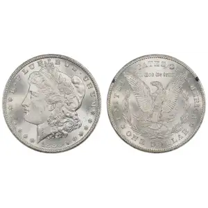 Morgan Silver Dollar